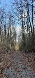 Fotografie z Thomas Toth 1 na trase