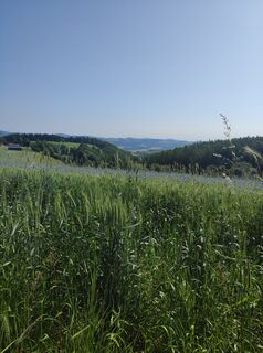 Foto da stuebi lungo il tour