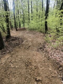 Photo de Anže Bizjak le long du parcours
