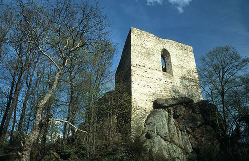 Burgsteinruine