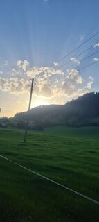 Photo de Bps Wiedemann le long du parcours