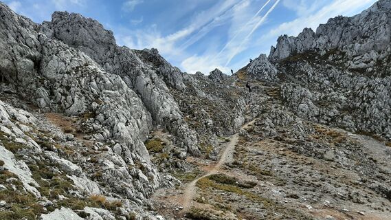 Fotografia z Aga M na trase