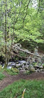 Photo de Josymschlegel le long du parcours