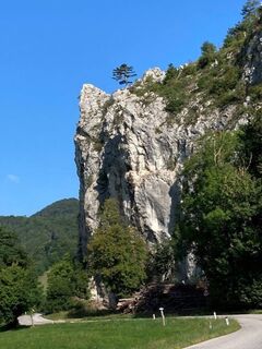 Furth Felsen mit Föhre