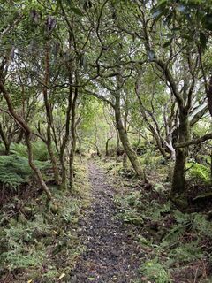 Biscoitos, Azores/Portugal