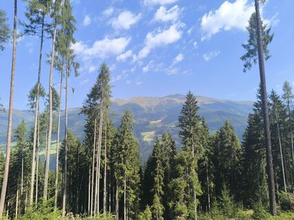 Foto von Tobias Peschanel entlang der Tour