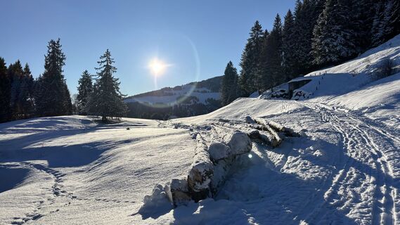 Foto von Erich Graf 2 entlang der Tour