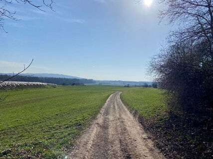Natur pur
