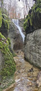 Photo de Zèé le long du parcours