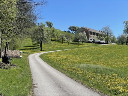 Fotografia z Martino68 na trase