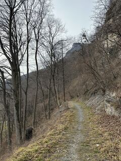 Fotografija s spletne strani Cyrill Bischof na poti