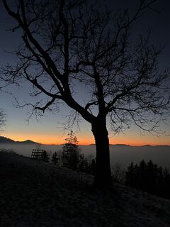 Fotografija s spletne strani Aurelian Böhler na poti