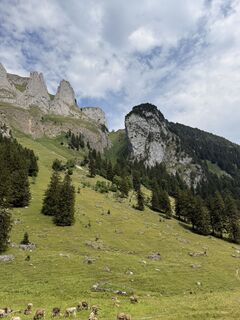 Foto de Joris Mühlenschmidt a lo largo del recorrido