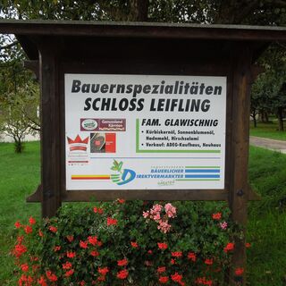 Schloss Leifling