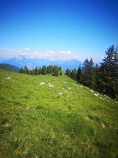 IMG_20200624_164527.jpg
