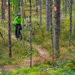 Pahakala Trail, Nadelpfad