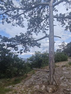 Photo de Katona Ferk Mariann le long du parcours