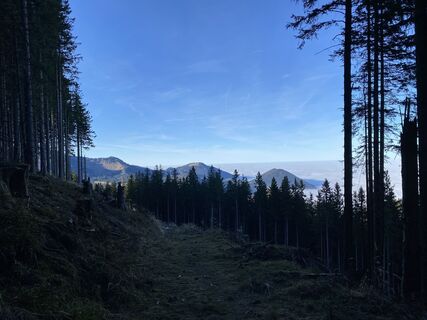 Foto von Sven Krieblin entlang der Tour