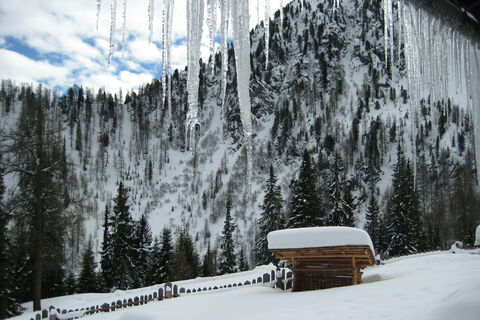 Ausblick von der Leckfeldalm