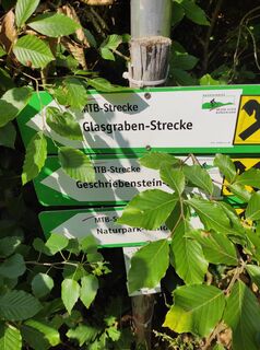 Foto van stuebi langs de tour