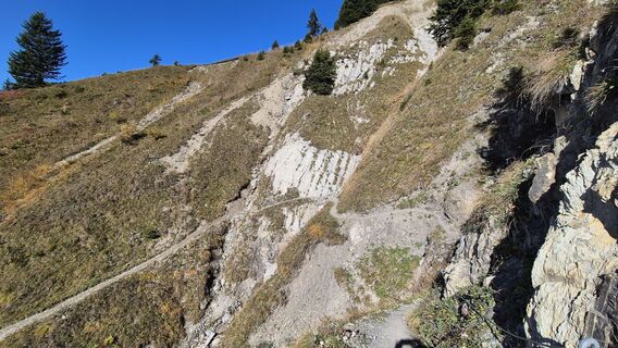 Photo de Nicole Hesse le long du parcours