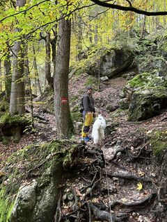 Photo de Stephan Gerstmeier le long du parcours