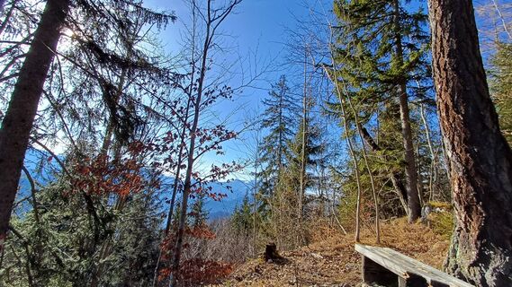 Foto från Lydia Pritzova under resans gång