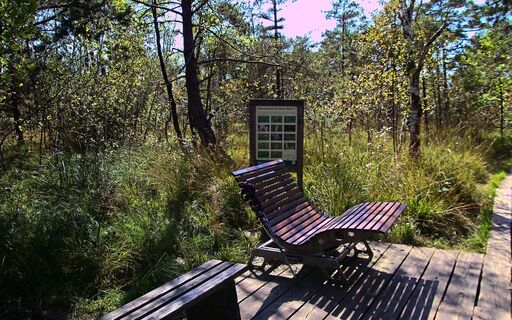 Ruhebank - die Wege sind befestigt