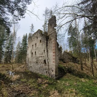 Fotografia z Sonja Enzenhofer na trase