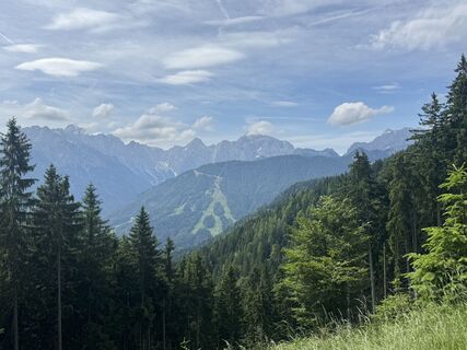 Fotografija s spletne strani Matthias Rath na poti
