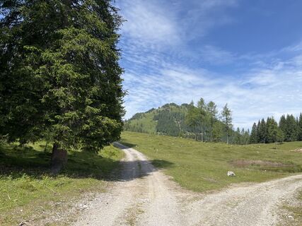 Foto von Heinz Sperl entlang der Tour