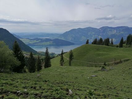 Foto fra luyyy undervejs på turen