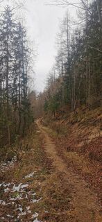 Photo de Klaus Lehner le long du parcours
