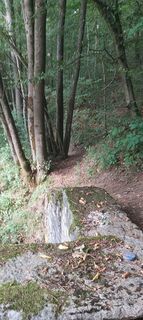 Photo de Emmanuelle Toubeau le long du parcours