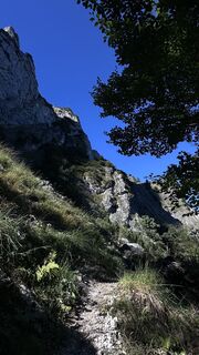 Zdjęcie z Mountain Cat ? ⛰️ wzdłuż trasy