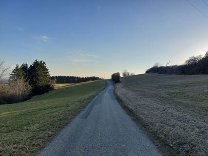 Photo de Sabrina Hackel le long du parcours