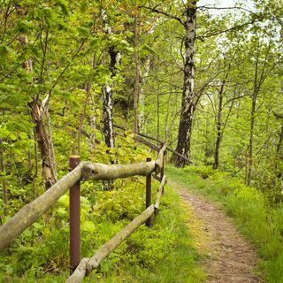 bei der Binge Seiffen