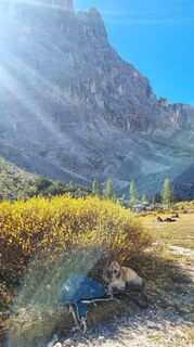 Photo de Michael Sparlund le long du parcours