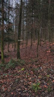 Foto de robin Zuhn a lo largo del recorrido