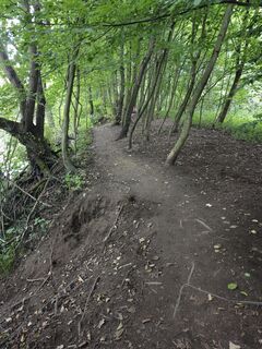 Fotografija s spletne strani Björn Heun na poti