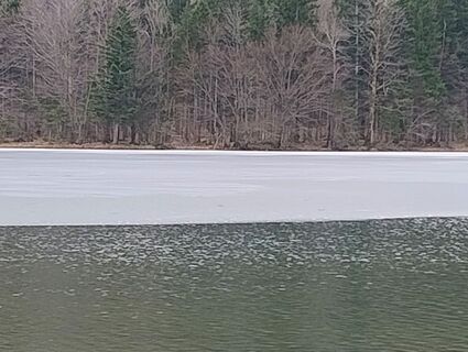 Fotografie z Carinossi na trase