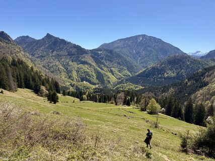 Foto von Natur_erleben_dg entlang der Tour