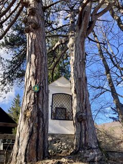 Foto von CT entlang der Tour