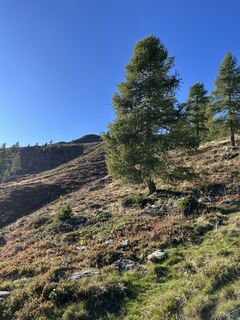 Foto von PhilipOberhauser entlang der Tour