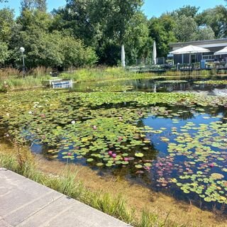 Foto de mosi mönä a lo largo del recorrido