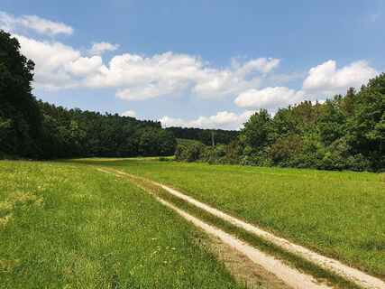 Elsenbachtal