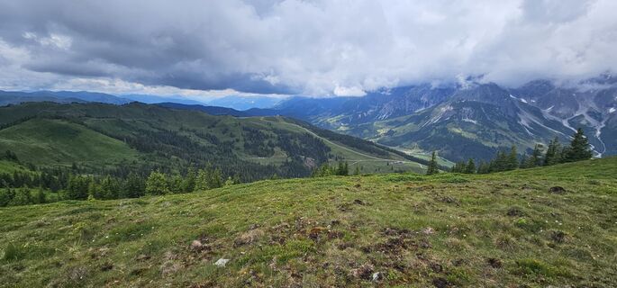 Fotografija s spletne strani Michael Ganswind na poti