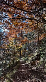 Photo from Rodrigo Islas along the tour