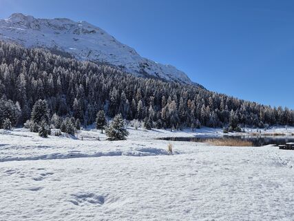 Fotografija s spletne strani Thomi W na poti