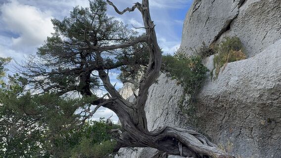 Photo de Claudio Garzetti le long du parcours